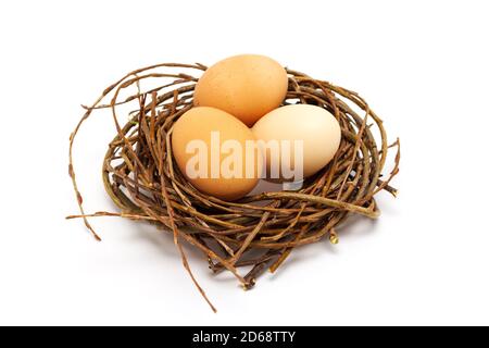 fresh beige eggs in nest on white background, easter concept Stock Photo