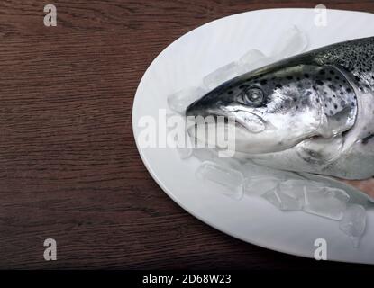 Salmon fish on ice on a white platter. Wooden table. Stock Photo
