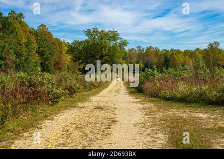 A dirt road with gravel winds through a meadow Stock Photo