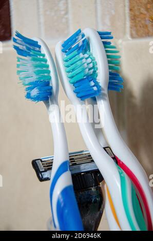 Close up view of a family toothbrushes and a man's razor in a bathroom. Stock Photo