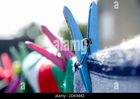 Close up view of laundry pegged to a washing line in a garden with plastic clothes pegs to dry. Stock Photo