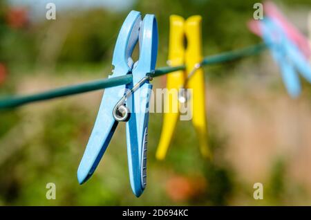 Plastic cloths pegs attached to a washing line in a garden. Stock Photo