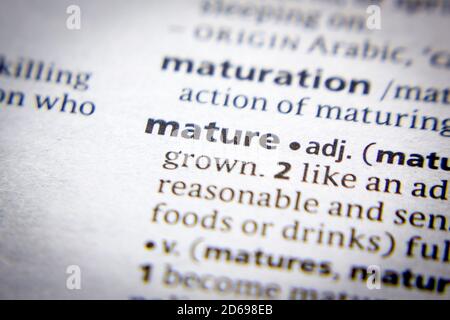 MATURE DEFINITION MEANING visual data 5