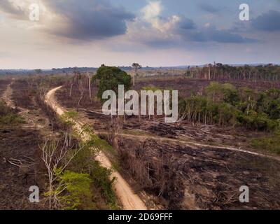 Drone aerial view of deforestation in the amazon rainforest. Trees cut and burned on an illegal dirt road to open land for agriculture and livestock.