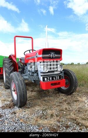 1964 Massey Ferguson 135 Tractor Stock Photo