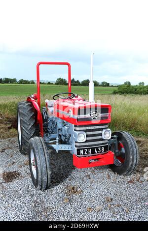 1964 Massey Ferguson 135 Tractor Stock Photo