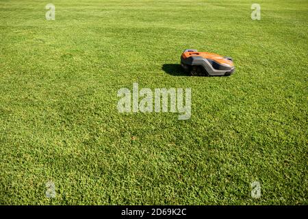 Automatic orange and grey lawn mower robot moves on the green grass, side view, photography. Stock Photo