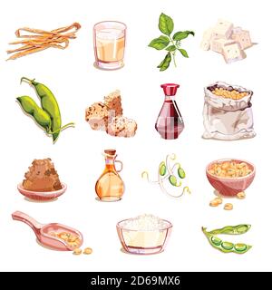 Soybean and soy food vector cartoon illustration. Vegetarian products icons and design elements. Soy milk, tofu, sprouts, meat, isolated on white back Stock Vector