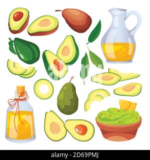 Green fresh avocado on branch, fruits slices and avocado oil. Vector flat cartoon illustration. Isolated vegetable icons and design elements. Stock Vector