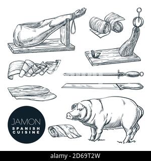 Delicious iberian pork jamon leg and cutting tools. Sketch vector illustration of Spanish gourmet cuisine. Hand drawn delicatessen food isolated desig Stock Vector