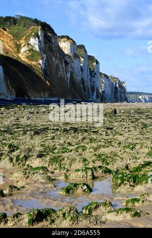 Cliffs in Dieppe, Côte d'Albatre, Haute-Normandie, France.