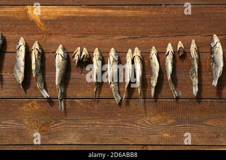 A bunch of dried salted fish hangs on a background of wooden planks Stock Photo