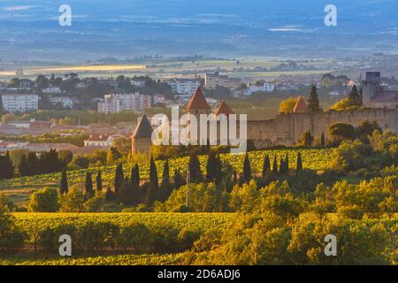 Carcassonne, Languedoc-Roussillon, France.  Walls of La Cite seen across vineyards.  The Cite de Carcassonne is a UNESCO World Heritage Site. Stock Photo