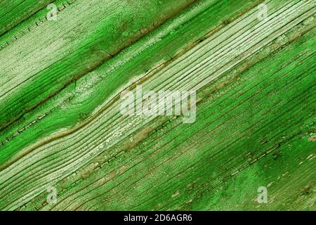 Green texture of wooden boards. Wood diagonal lines background. Flat old boards top view. Stock Photo