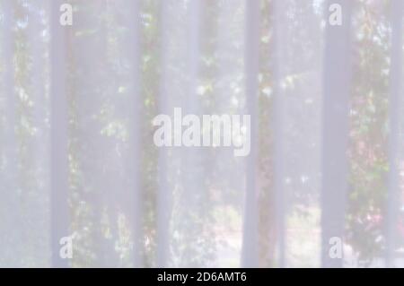 Light and see through concept, Classic white sheer curtains hanging over a window with blurred view of green tree leaves outside as background. Stock Photo