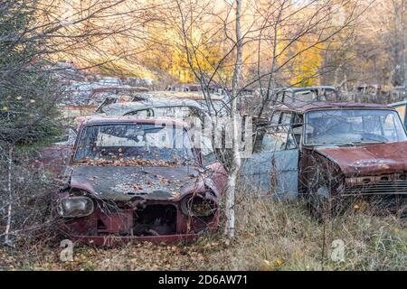 Car cemetery during autumn in Sweden Stock Photo