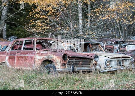 Car cemetery during autumn in Sweden Stock Photo