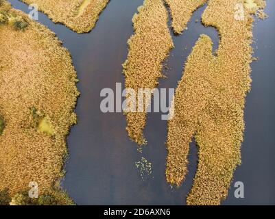 Aerial Shot of the Misty Autumn Floodplains of the Dnieper River with Reed islands in the river Stock Photo