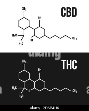 CBD and THC molecular structure illustrations. Cannabinol and Tetrahydrocannabinol chemistry cannabis formula vector symbol isolated Stock Vector