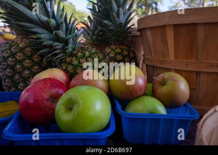 Two blue plastic baskets filled with fresh red and green apples. There are multiple whole pineapples in the background. Stock Photo