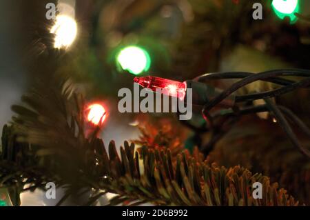 Detailed view, macroophotography of a red holiday string light bulb on the Christmas tree Stock Photo