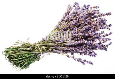 Bunch of dry lavandula or lavender flowers isolated on white background. Stock Photo
