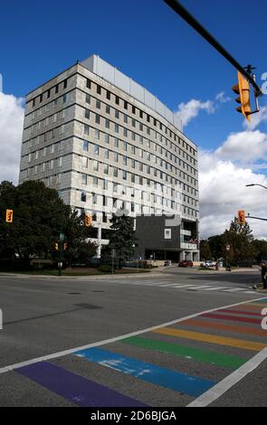 Oct 8 2020, London Ontario Canada.  Pride coloured crosswalk in front of City Hall. 300 Dufferin Ave. Luke Durda/Alamy Stock Photo