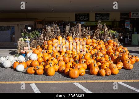 Fresh organic pumpkins for sale at the storefront of a local grocery store in Lake Oswego, Oregon. Stock Photo