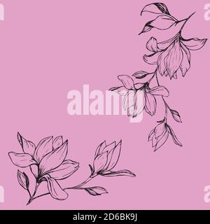Drawing a set of Magnolia flowers and a sketch with a linear pattern on a pink background. Stock Vector