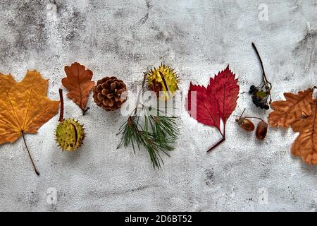 Autumn composition made of dried leaves, branches, pine cones, berries, acorns and hand with cup of coffee on dark concrete background. Template Stock Photo