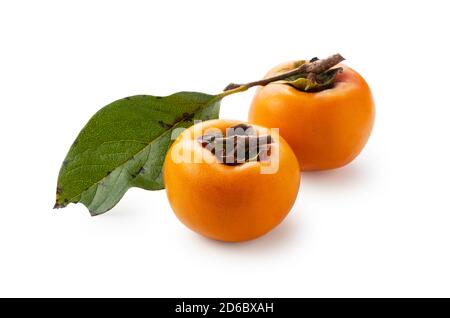 Two Japanese Persimmons on a White Background Stock Photo