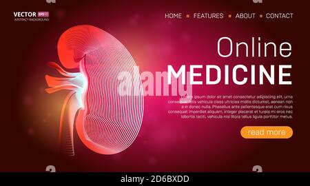 Online medicine landing page template or medical hero banner design concept. Human kidney outline organ vector illustration in 3d line art style on ab Stock Vector