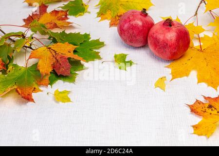 Red pomegranates and multicolored maple leaves on a white background. Autumn concept. There is a place for text. High quality photo Stock Photo