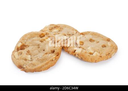 Studio shot of white chocolate and honeycomb biscuit cut out against a white background - John Gollop Stock Photo