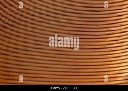 New and clean wall made of spruce tree's wood boards, viewed from the front. Right side is sunnier and brighter. Full frame textured background. Stock Photo