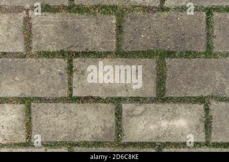 Rectangular Paving slabs with sprouted moss. Paving. Textures Are More Suitable For Tile Laying. Background. Stock Photo