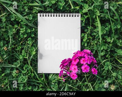 Blank page of the Notebook lying on a clover Stock Photo