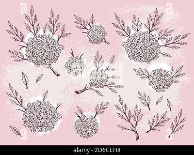 Vector set of hand drawn flowers, branches and leaves with textured watercolor elements. In pink colors. Stock Vector