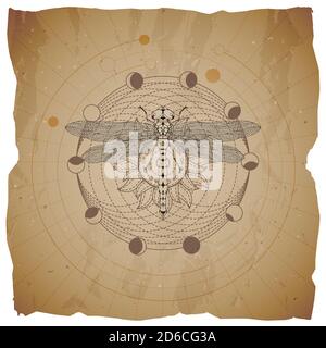 Vector illustration with hand drawn Dragonfly and Sacred geometric symbol on old paper background with torn edges. Abstract mystic sign. Sepia linear Stock Vector