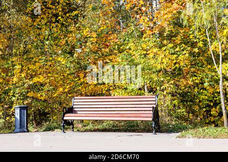 wooden bench illuminated by sun and trash can under colorful trees along path in city park on sunny autumn day Stock Photo