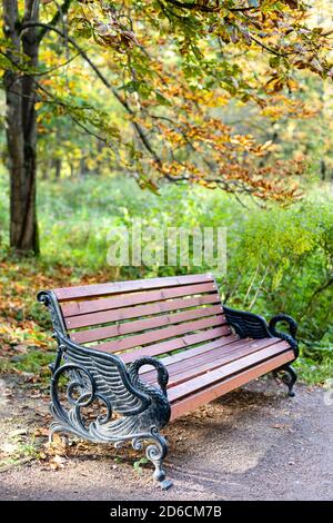 old wooden bench under horse chestnut tree in city park on sunny autumn day Stock Photo