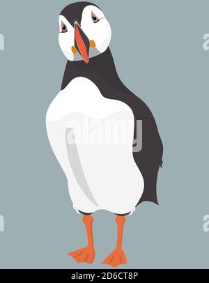 Atlantic puffin front view. Northern bird in cartoon style. Stock Vector