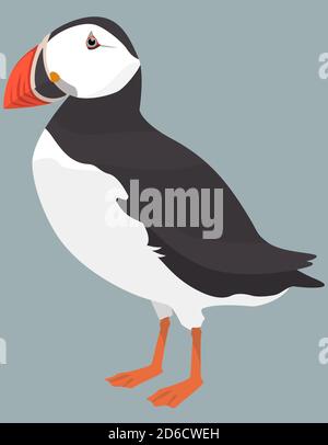 Atlantic puffin side view. Northern bird in cartoon style. Stock Vector