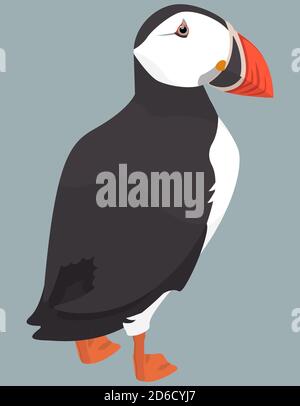 Atlantic puffin back view. Northern bird in cartoon style. Stock Vector