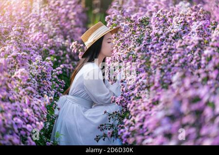 Beautiful girl in white dress sitting in Margaret flowers fields. Stock Photo