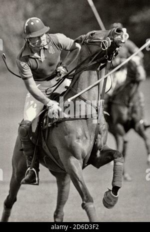 Prince Charles very much the 'action' man in his earlier life - here playing polo at Cowdray Park in West Sussex - he threw himself energetically into his game - not so sure that the pony enjoyed it as much ! Exclusive picture by David Cole from the archives of Press Portrait Service (formerly Press Portrait Bureau). Stock Photo