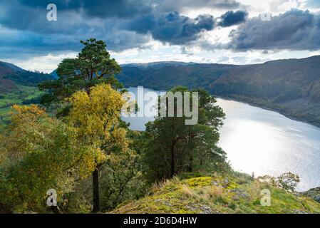 Autumn colours at Thirlmere, Cumbria in the Lake District. Thirlmere is one of two man-made lakes in the Lake District. At 3 1/2 miles long it was bui Stock Photo