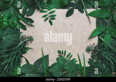 Creative layout made of different natural leaves and blank paper card for text. Flat lay, copy space. Nature concept.