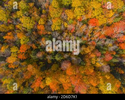 White Mountain National Forest top view with fall foliage, Town of Sanbornton, New Hampshire NH, USA. Stock Photo