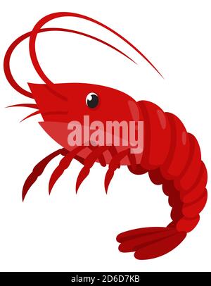 Shrimp in cartoon style. Sea animal isolated on white background. Stock Vector